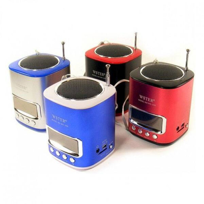 Колонка usb fm. Колонка Wster WS-259. Портативная акустика Wster WS-259. Колонка Wster WS. Wster ws100 колонка.