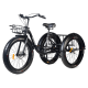 Трёхколёсный грузовой велосипед Jetson TRIKE F26