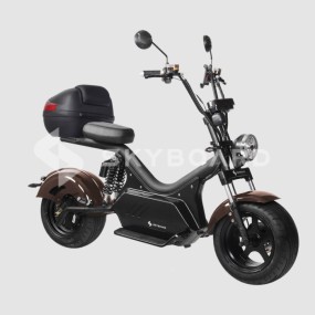 Электроскутер Skyboard Baikal BR50 3000W Коричневый