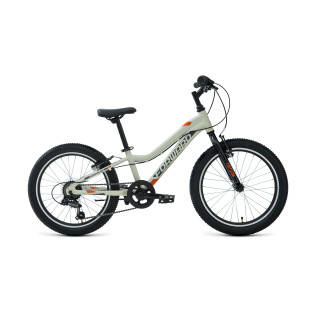 Детский велосипед FORWARD TWISTER 20 1.0 серый/оранжевый 10" 2021