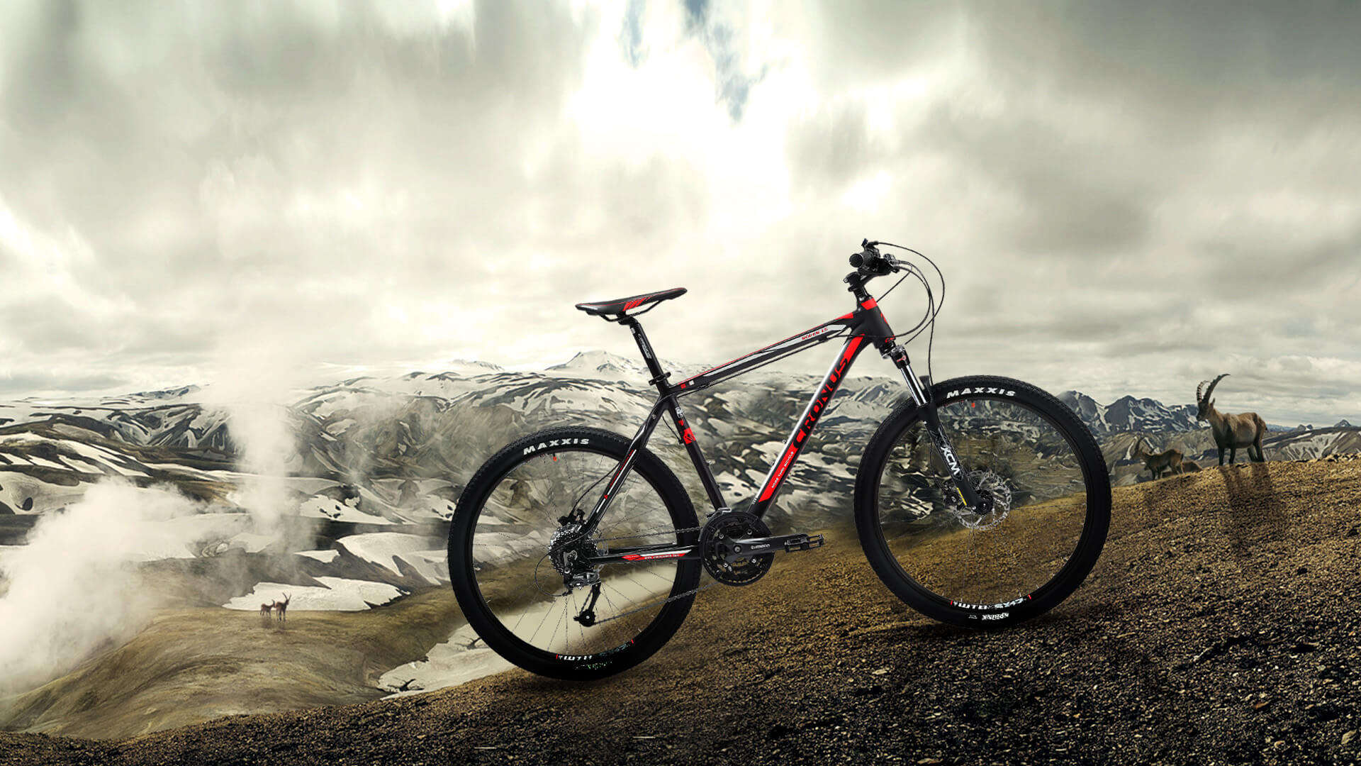 Как выбрать велосипед