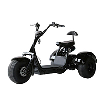 Smart Balance X7 Trike